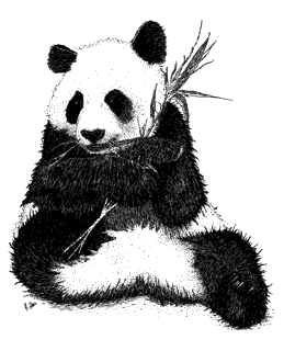infogiant-panda.gif